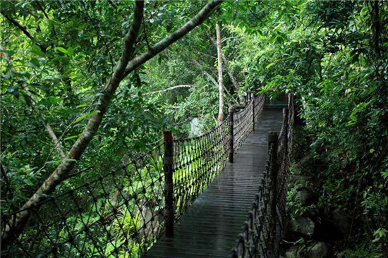 海南省呀诺达雨林文化旅游区