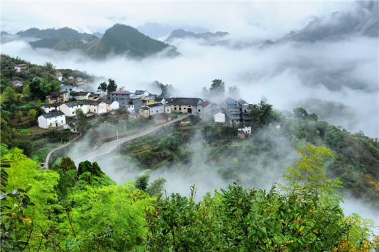 图说:淳安美丽乡镇-金峰乡百照村