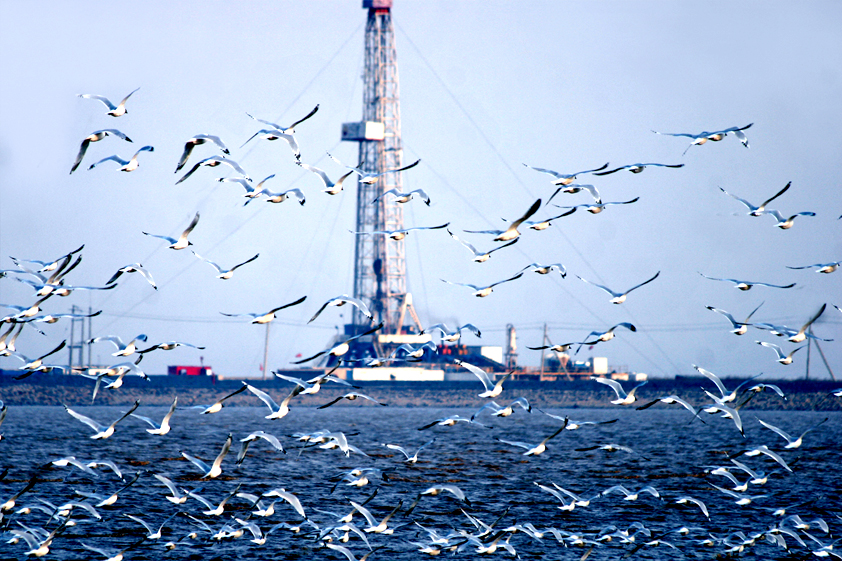 大港油田保护海洋环境 