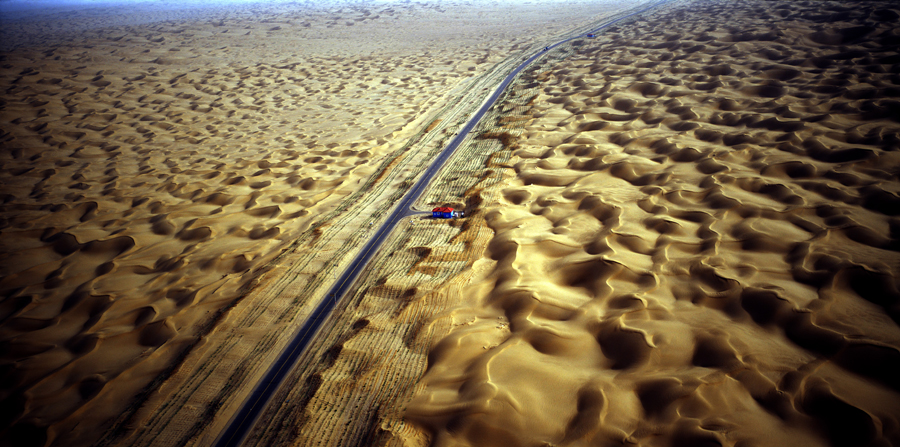 沙漠公路绿化（张岩青）