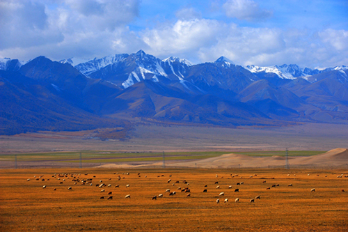 哈密：新疆的盆景