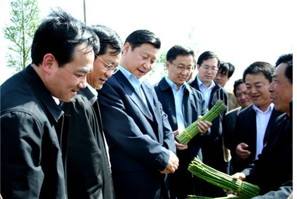 上海崇明高效生态农业发展案例