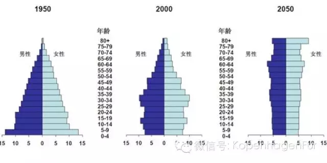 中国人口结构_中国未来人口结构
