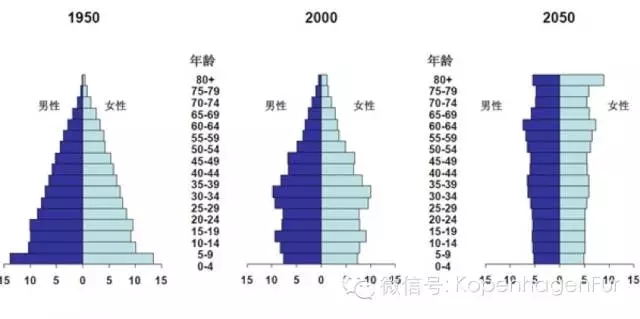 未来老年人口的特点_我国老年人口接近两亿 未来20年每年增千万