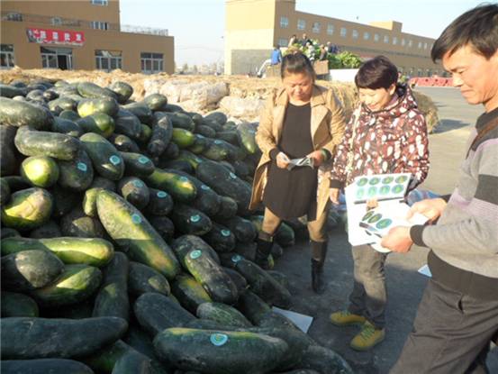 新疆维吾尔自治区乌苏市:全面推行农业标准化