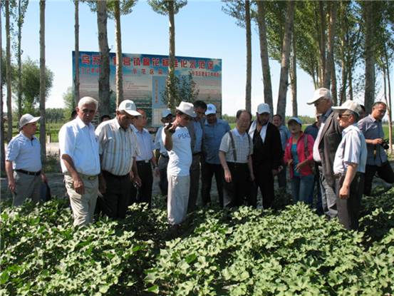 塔吉克斯坦共和国农业考察团一行到乌苏市观摩学习农业生产技术6