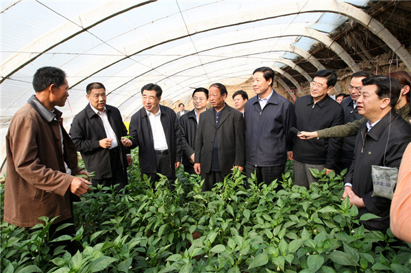 2008年4月回良玉副总理在夏县南大里乡圪塔村视察蔬菜生产