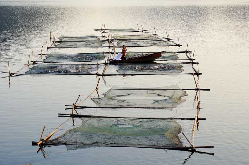 龙湾落霞