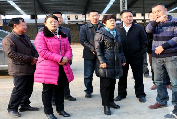 杨州长一行调研黔西南州泰龙铁合金（集团）有限公司年产100万吨铁合金项目