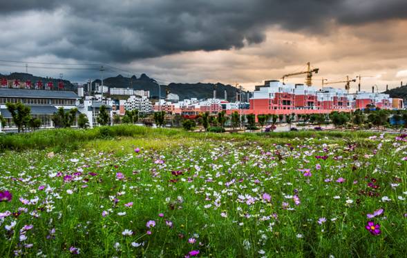 _DSC3316兴义市新闻中心 张霆 摄