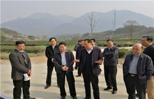 河南省商城县金刚台镇