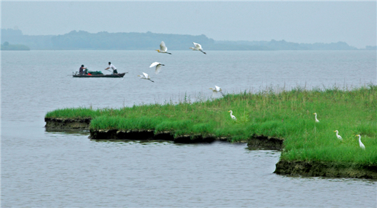 探访"闹心河"变身"活水公园 高邮由水系组成,水道河流